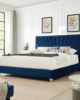 Amber Wingback Velvet Bed in UAE – Zohaib Furniture